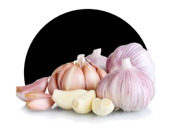 Alho Descascado e Inteiro